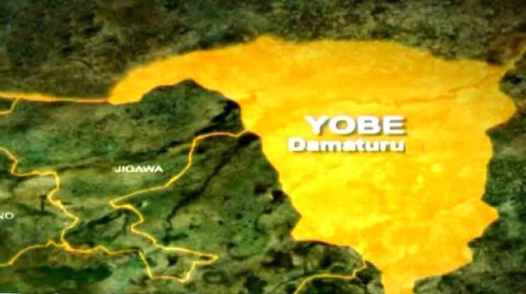 2027 election and Yobe’s succession plan