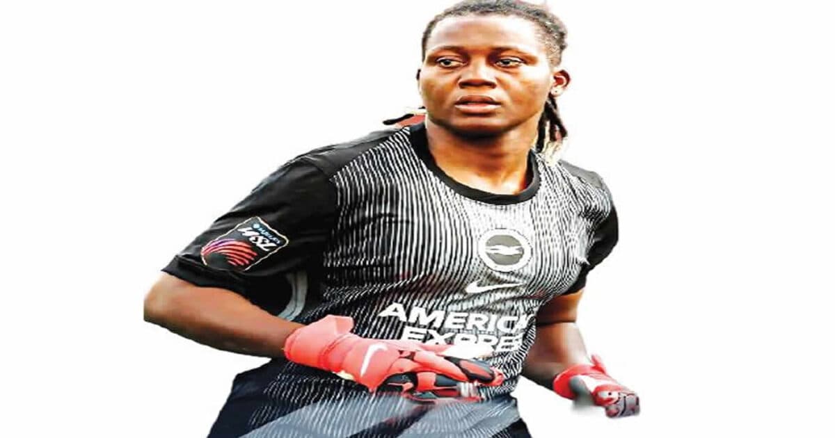 Nnadozie, Okoye bag major honours after brilliant seasons
