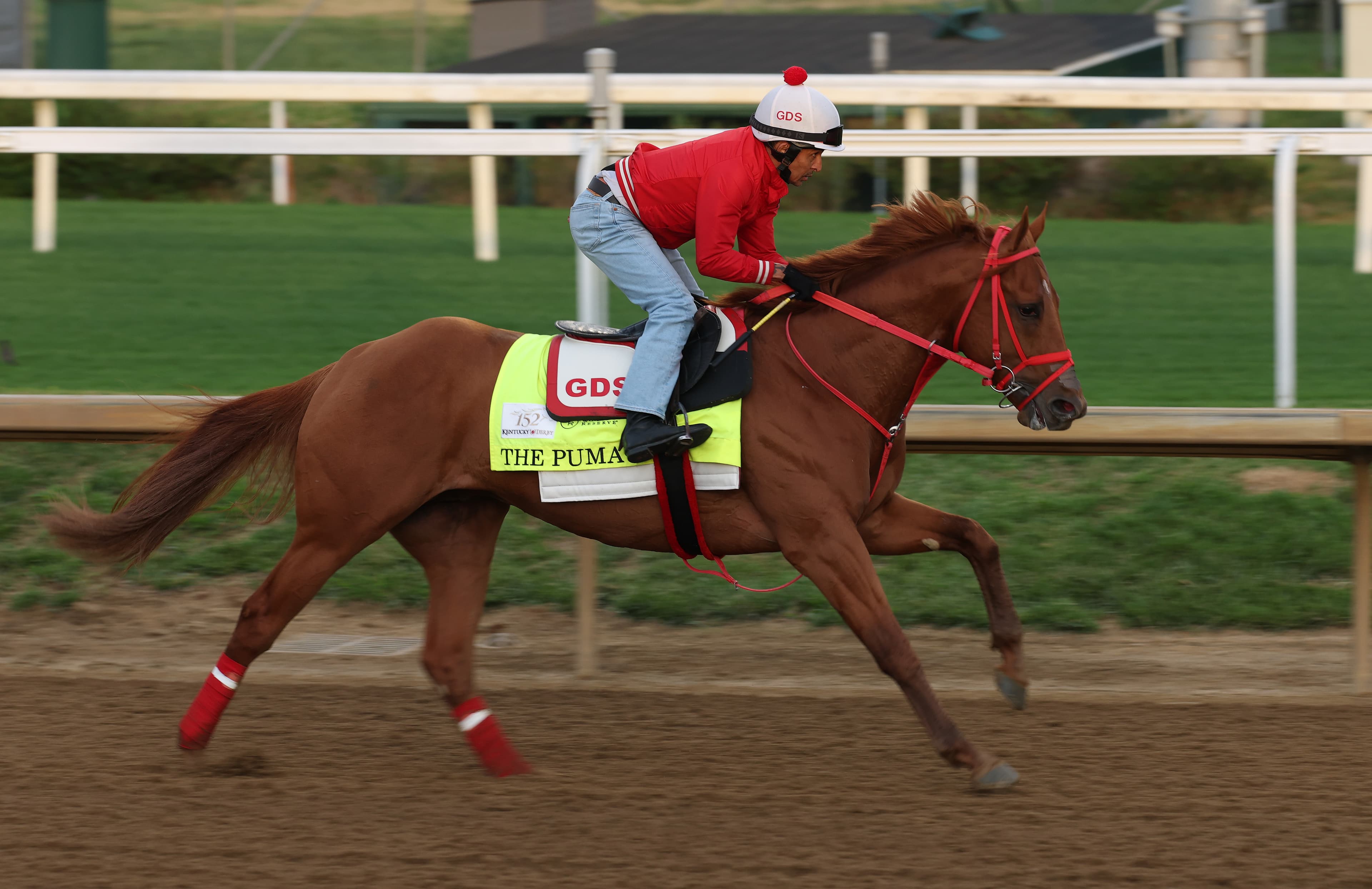 Kentucky Derby: The Puma, among the favorites, scratched with swelling in his leg