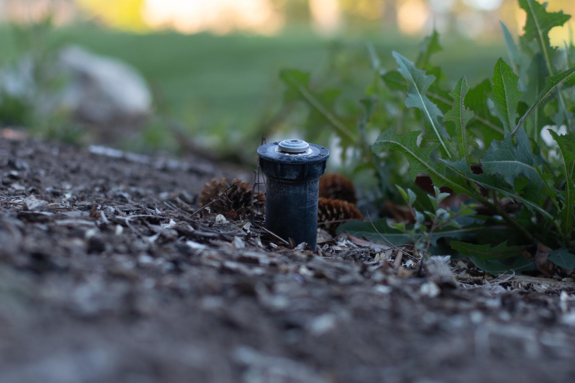University decreases water usage, some say not enough