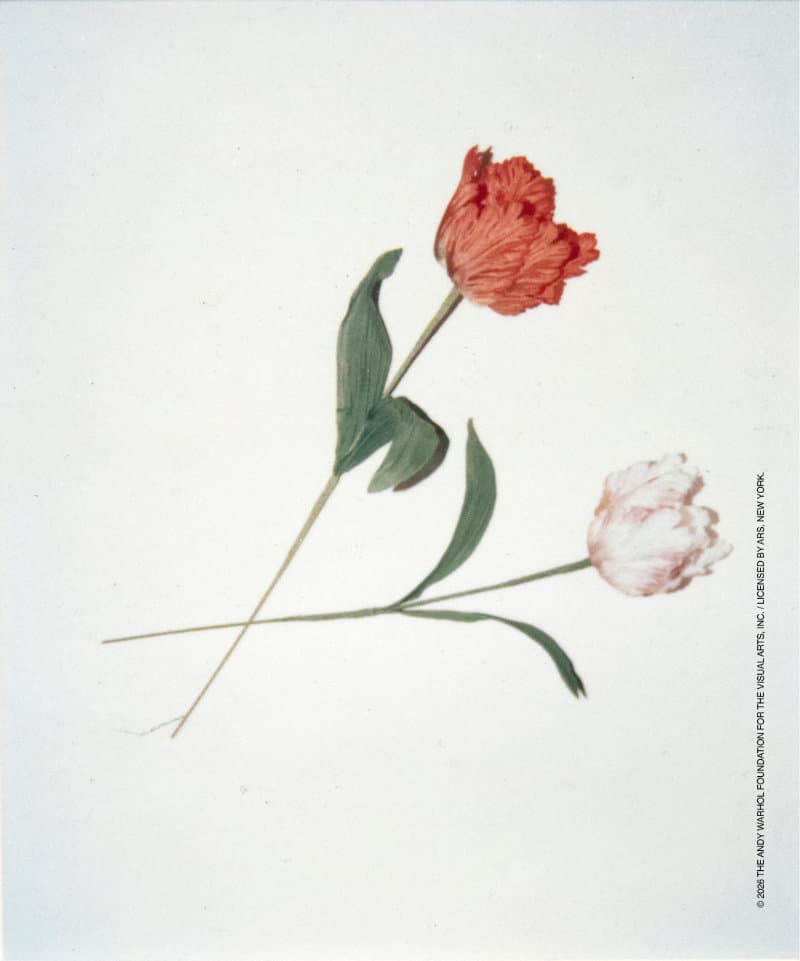 Saint Laurent Rive Droite Shows Andy Warhol’s “Banal Objects” in Paris