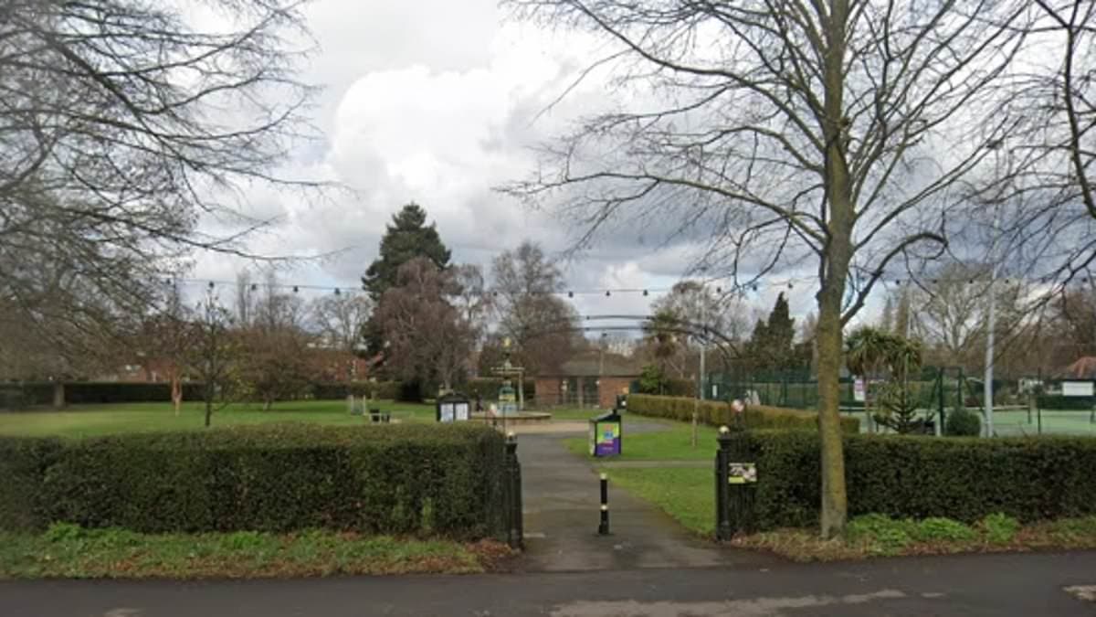 Migrant, 15, who raped teenage girl, 17, in park on her way home from night out is jailed