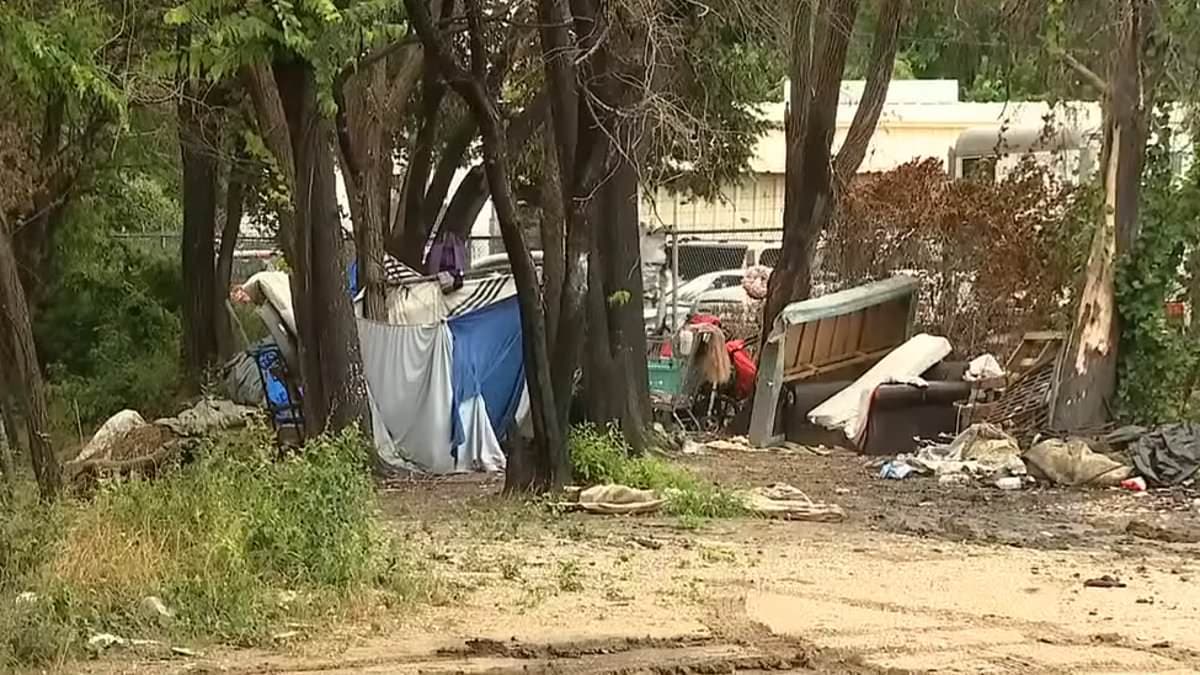 Dallas bought a plot of land for $1.8million only for an elaborate, hidden homeless encampment to occupy it for nearly two DECADES