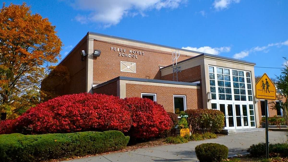 Fed-up parents in affluent town take matters into their own hands as they hit out at school board's 'LGBTQ+ plan'
