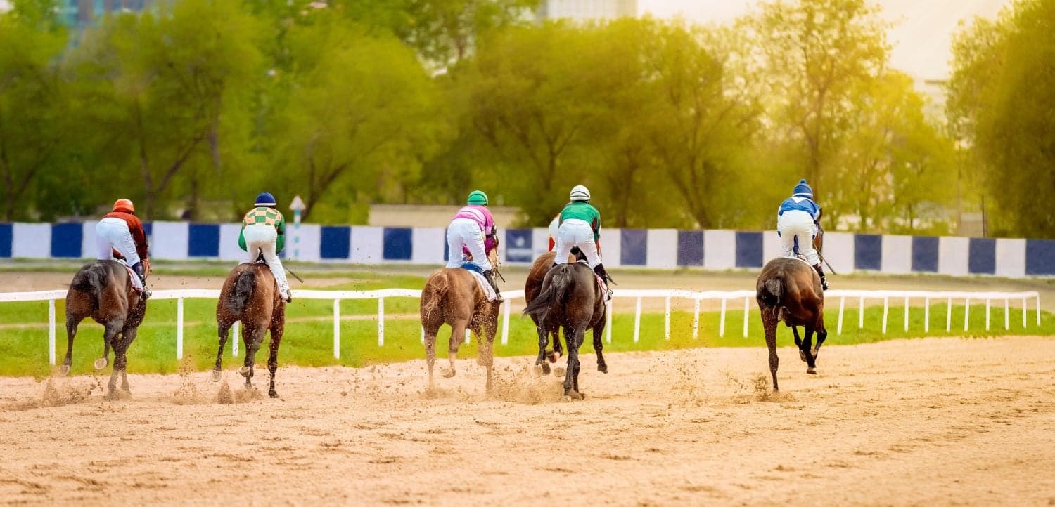 As the Kentucky Derby Nears, Can Horse Racing Ever Be Truly Ethical?