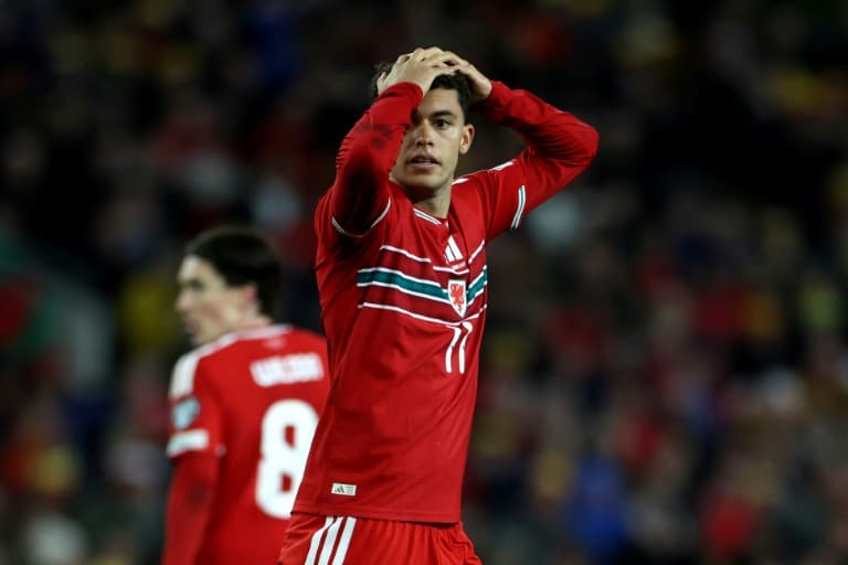 Wales' World Cup dream ended by Bosnia and Herzegovina