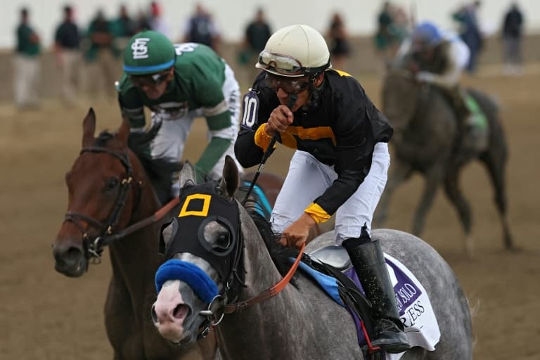 Napoleon Solo wins 151st Preakness Stakes