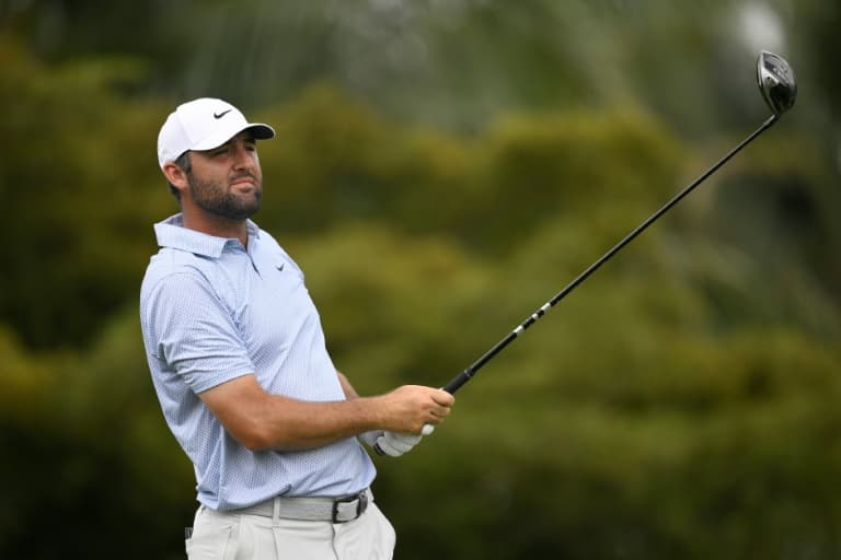 Scheffler and McIlroy fancied for PGA Championship title