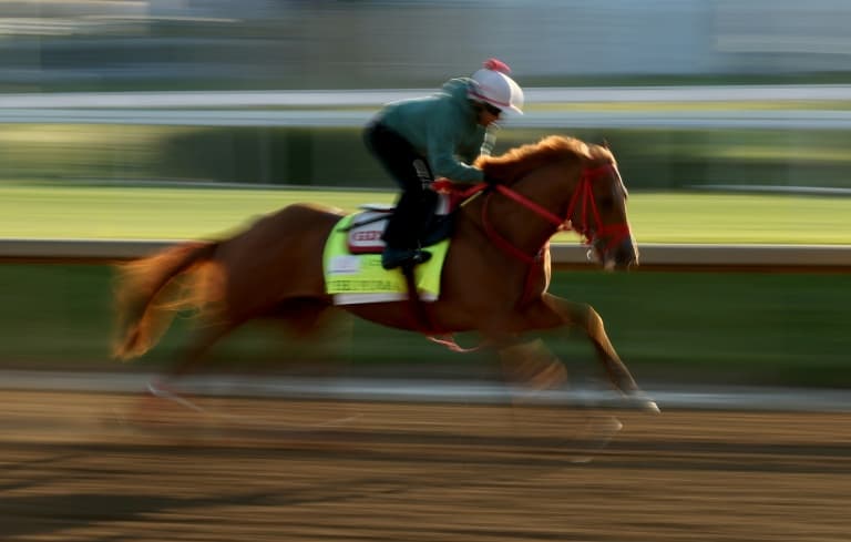 The Puma out of Kentucky Derby, leaving 19 starters
