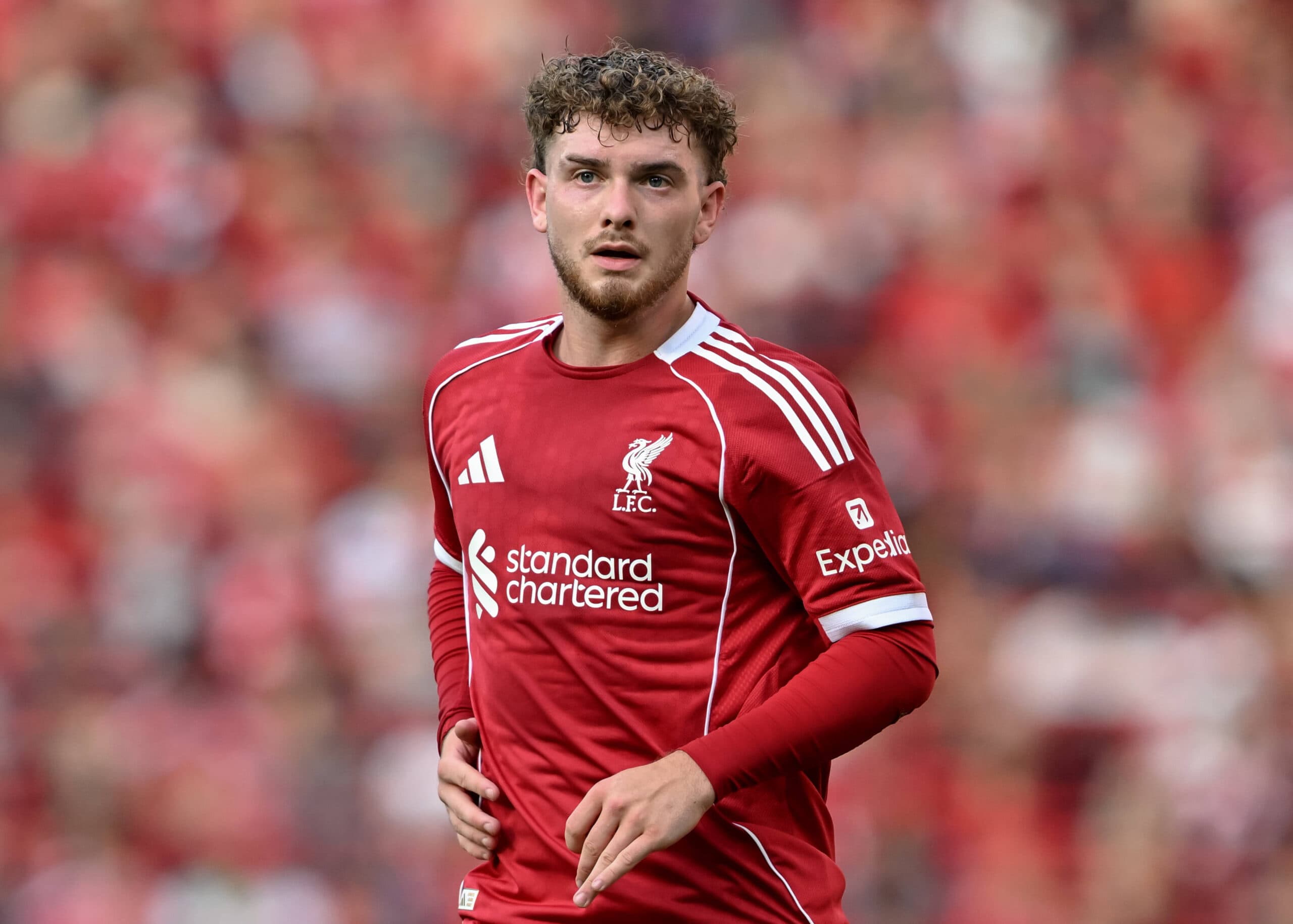 Journalist: Bundesliga side could return for Liverpool midfielder this summer