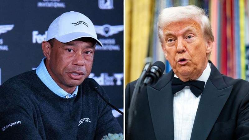 Tiger Woods spoke to Donald Trump moments before his DUI arrest