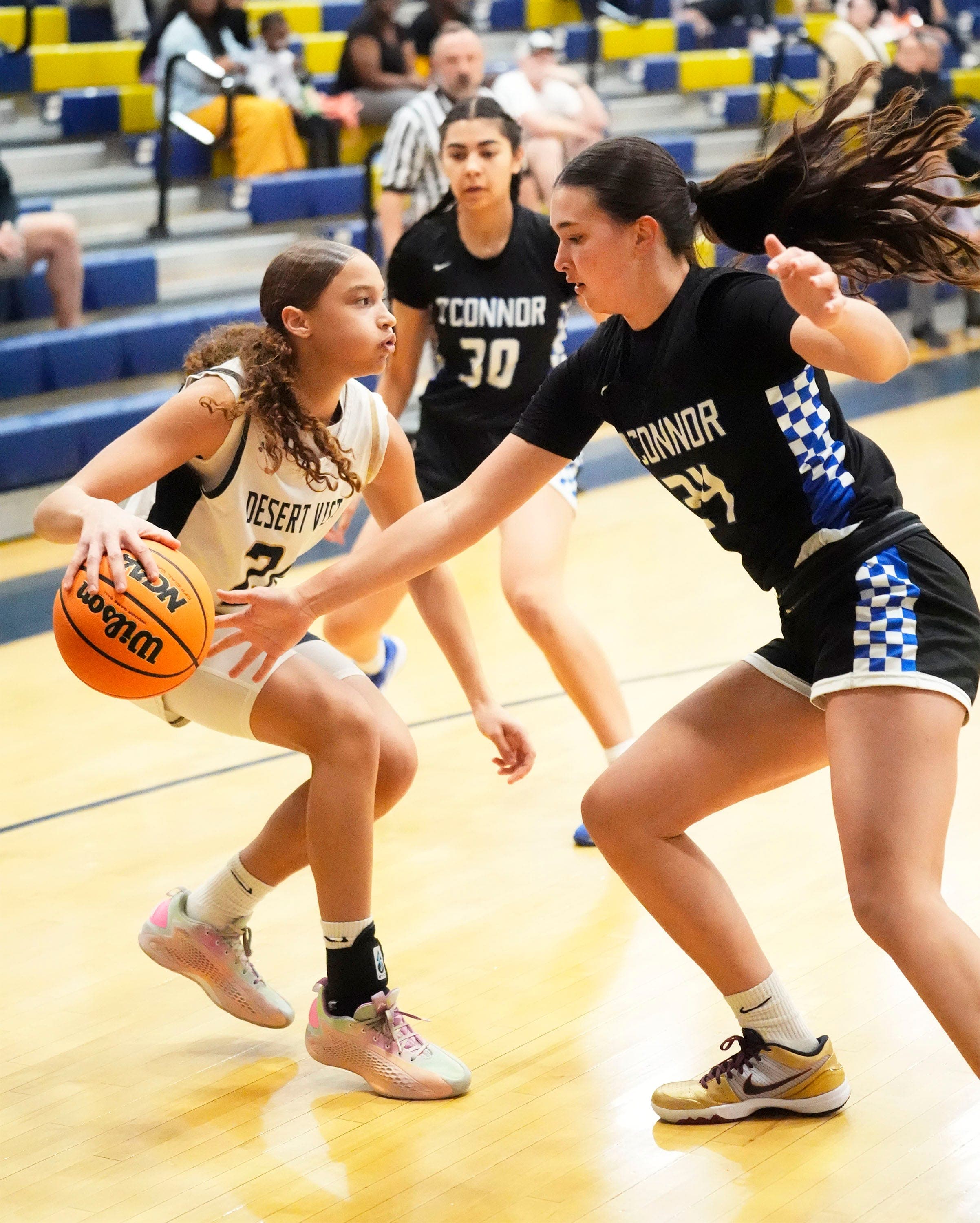 All-Arizona 2025-26 girls basketball team, coach of the year