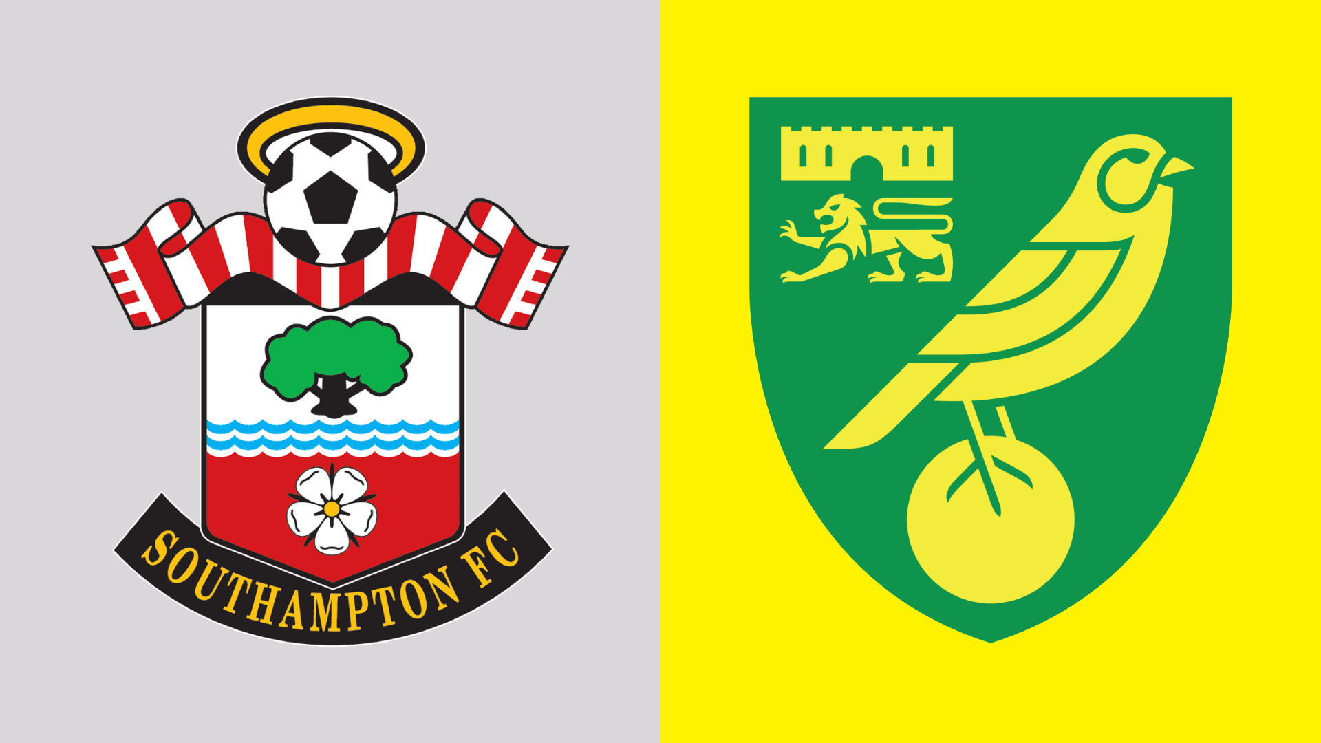 Southampton's Star Stuns Norwich with Perfect Performance!