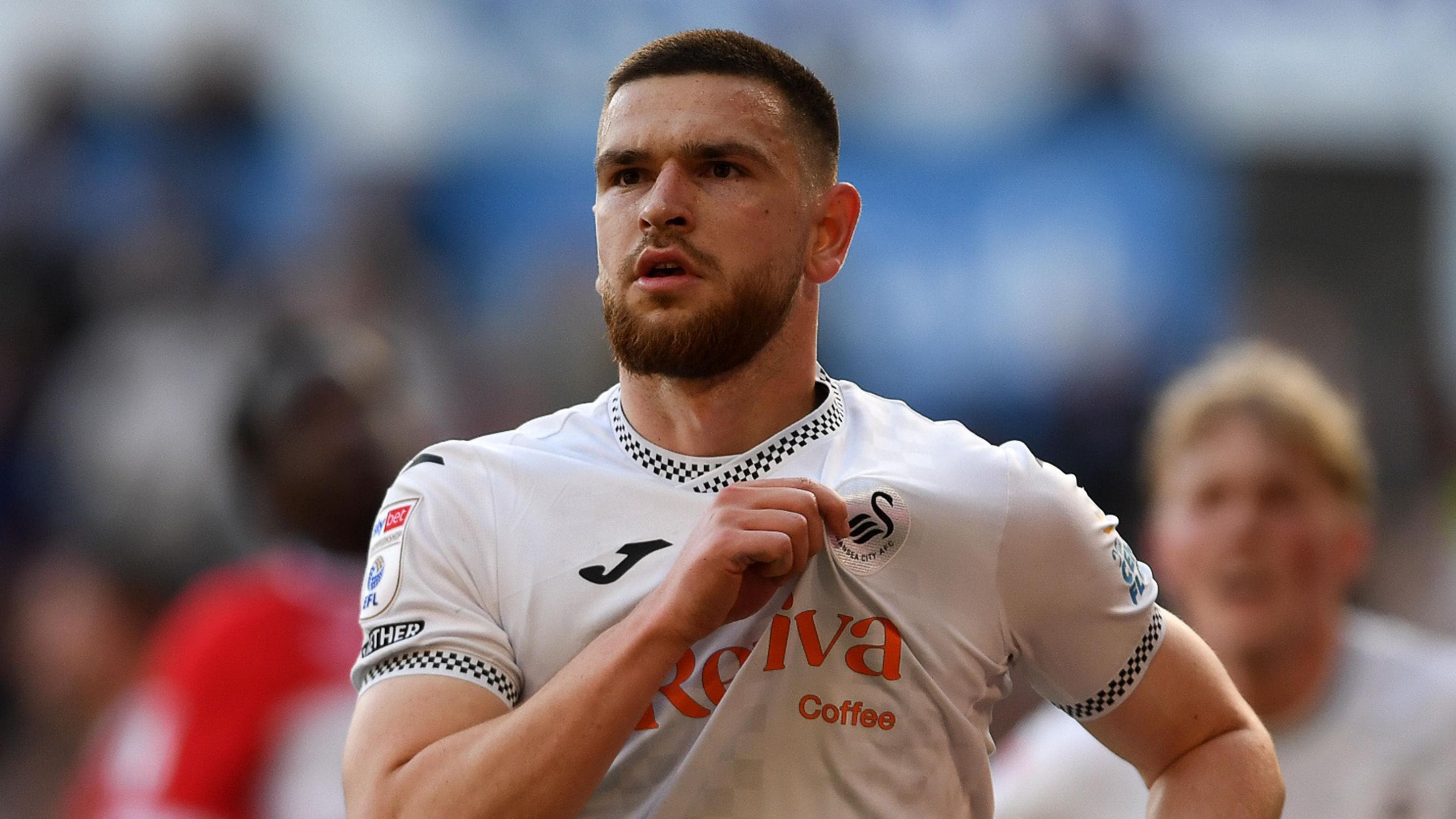 Rival clubs keen on Swansea's Vipotnik - Matos