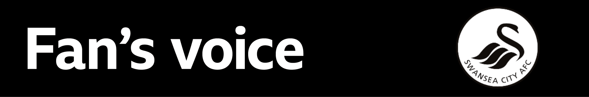 Have your say - what do Swansea need this summer, and will Vipotnik stay?