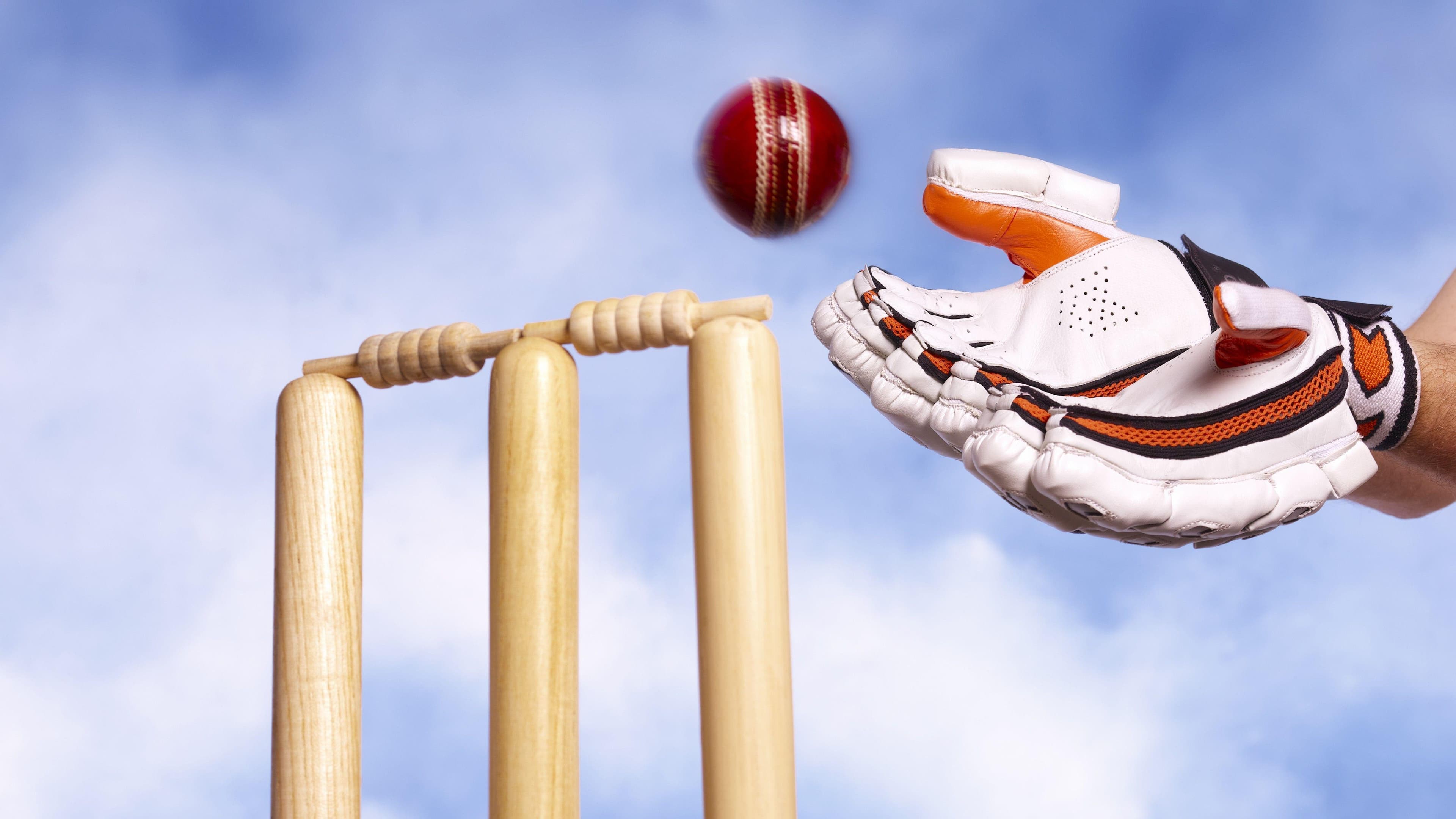Village cricket club's ground bought by county side
