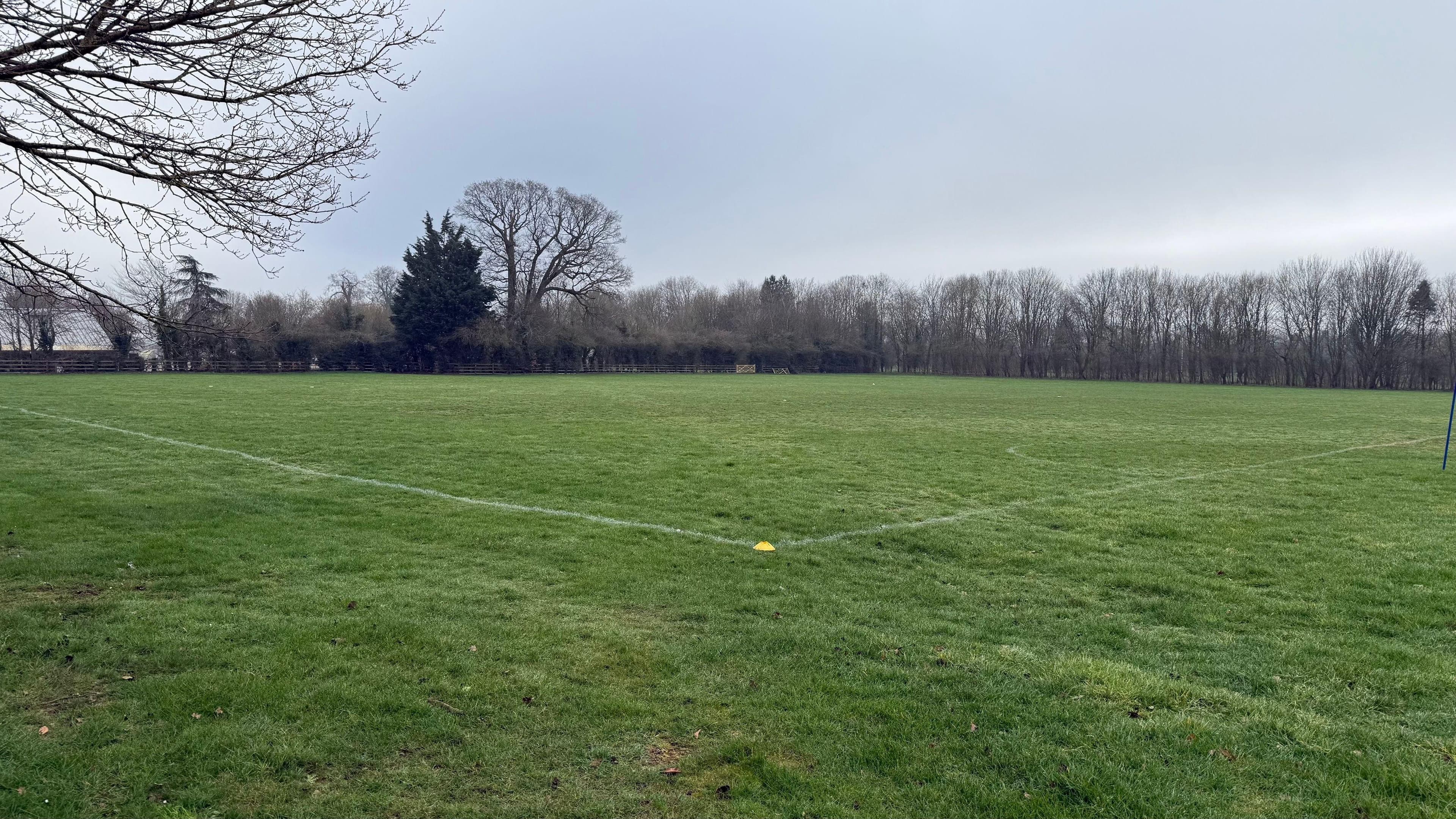 New 3G pitch hailed as 'huge' for village