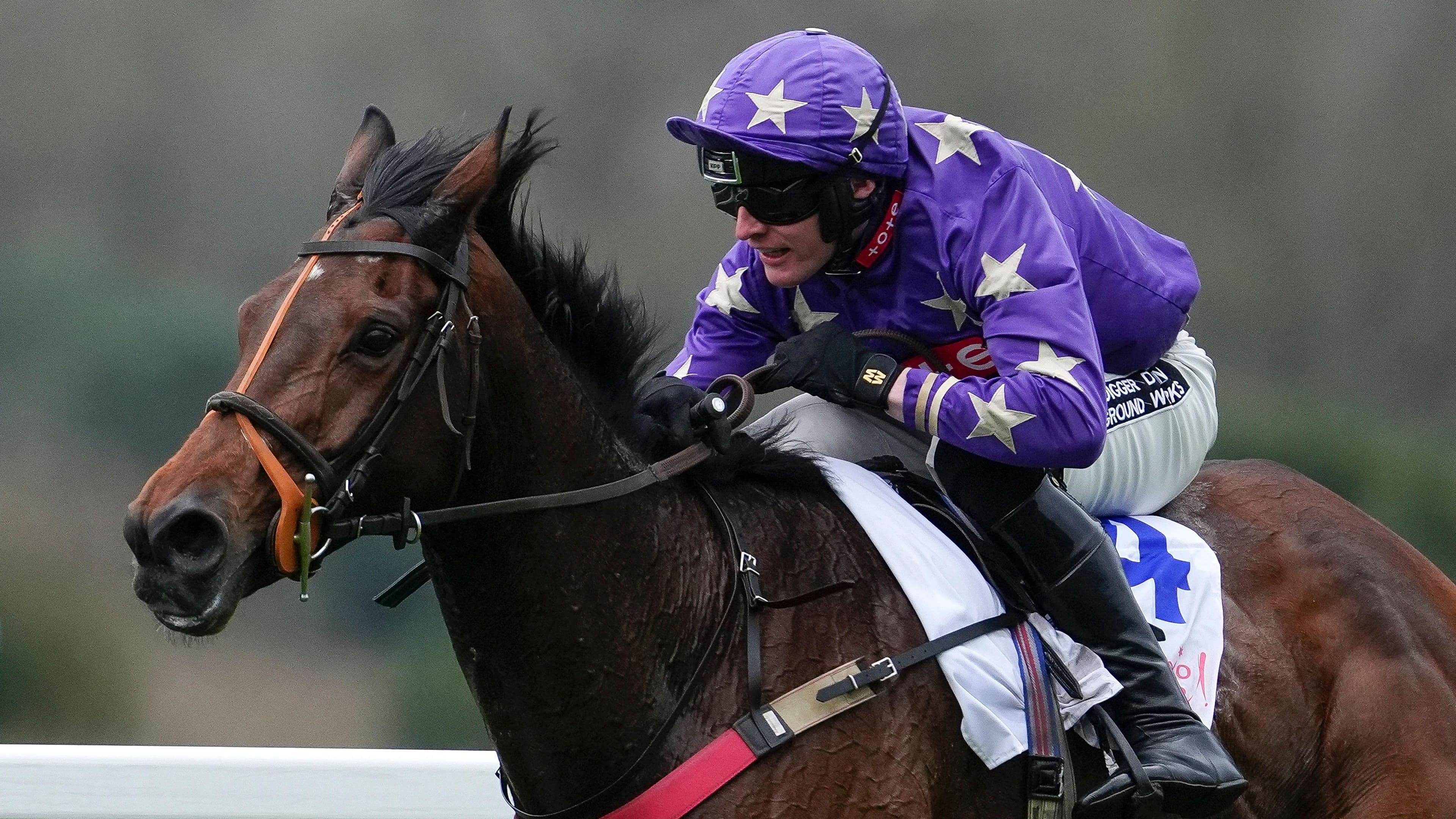 Jockey Pritchard's error means he gets ban not win