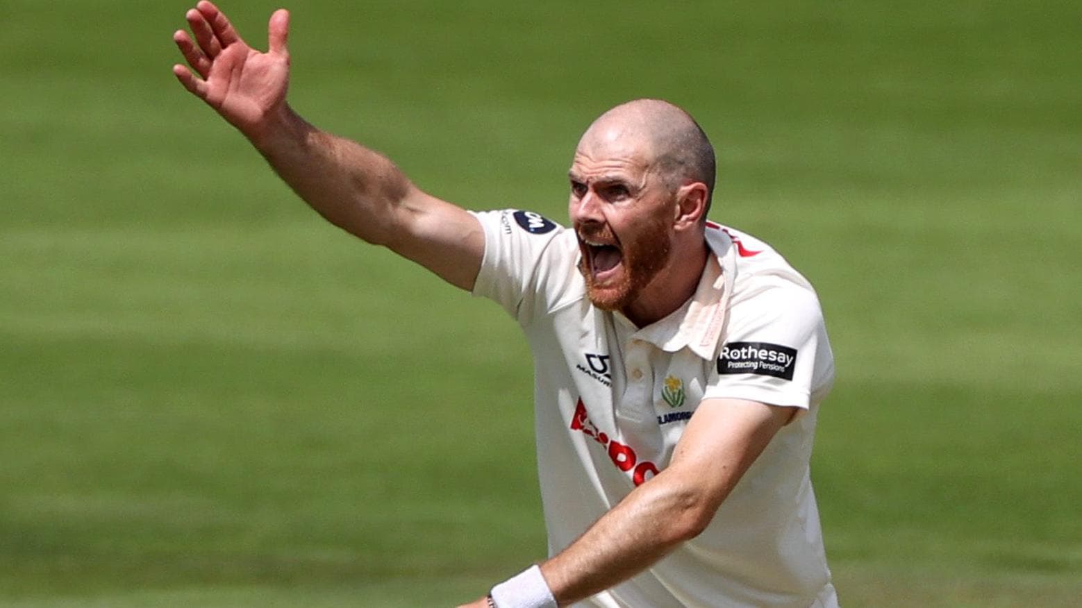 Glamorgan hail 'superb role model' as Harris retires