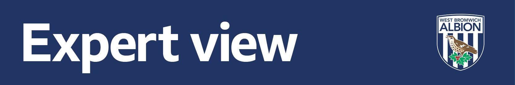 Heart or head - who should West Brom keep?