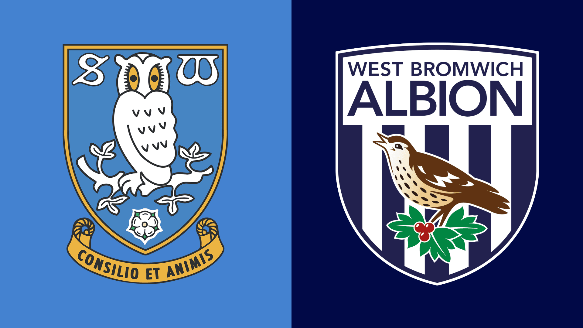 Pick of the stats: Sheffield Wednesday v West Brom