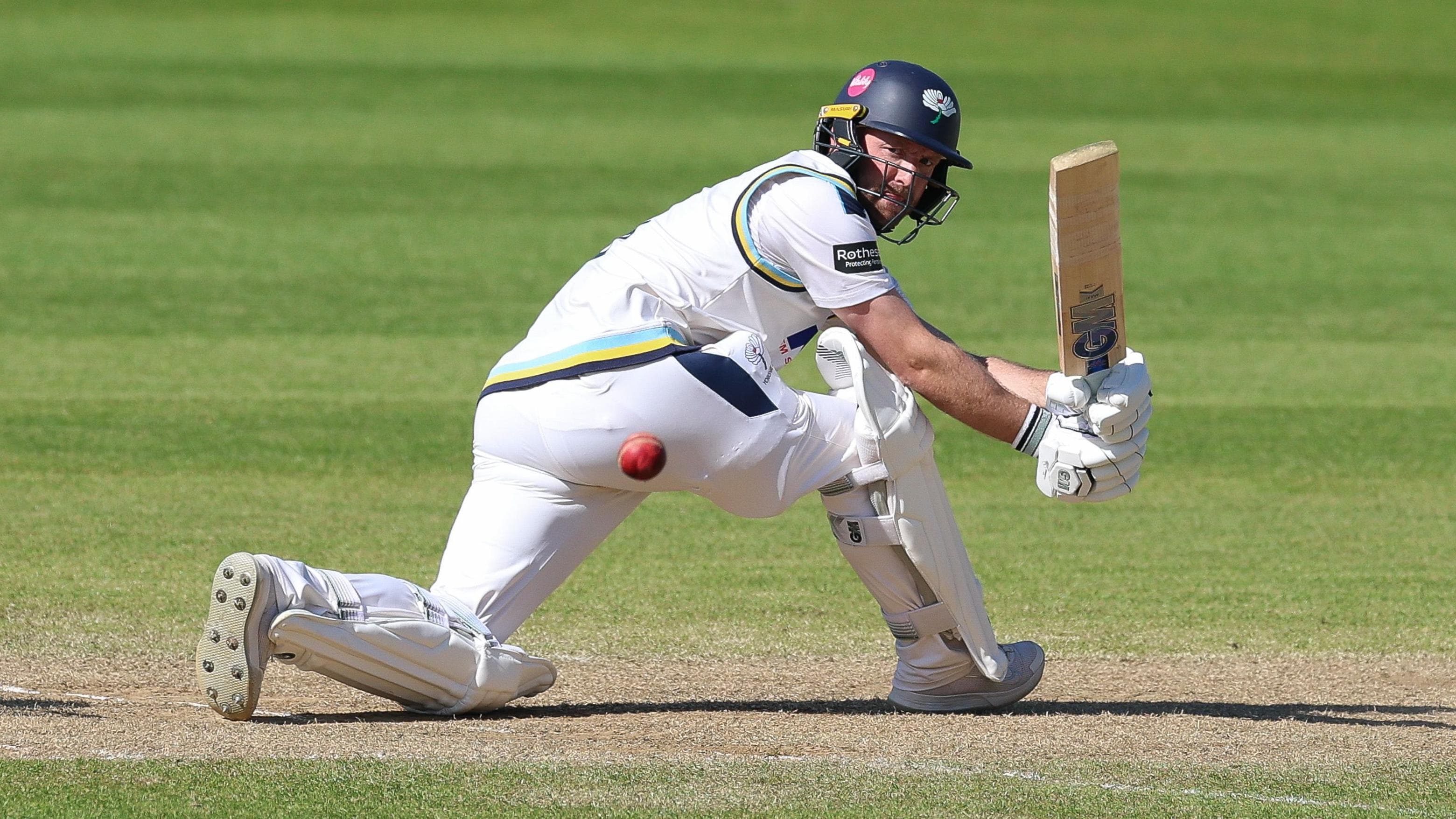 Glamorgan and Yorkshire play out absorbing draw