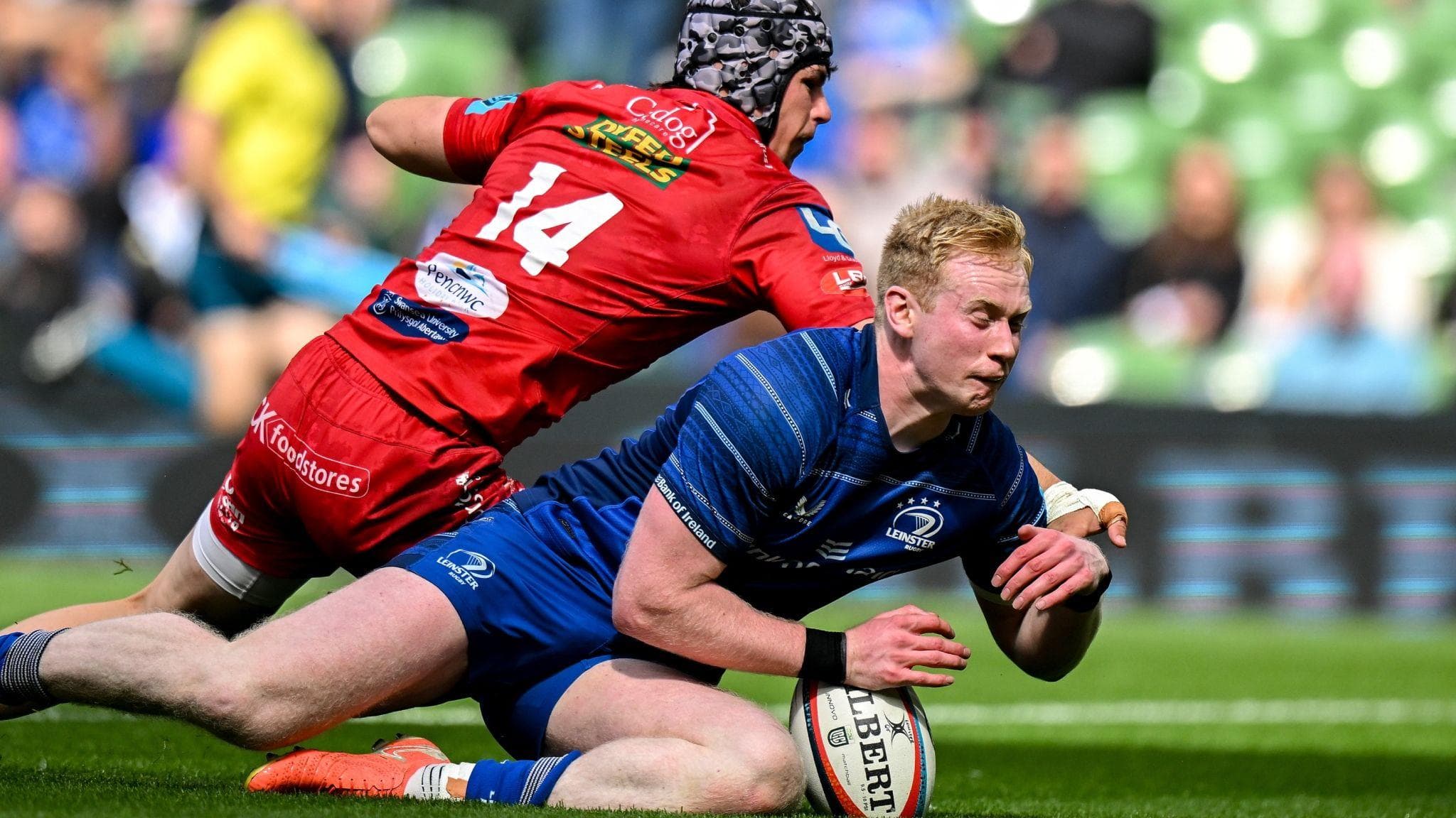 Forget URC - Scarlets face Test match in Dublin