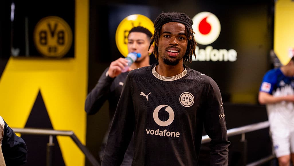 International football: 13 BVB first-team players called up for their national teams