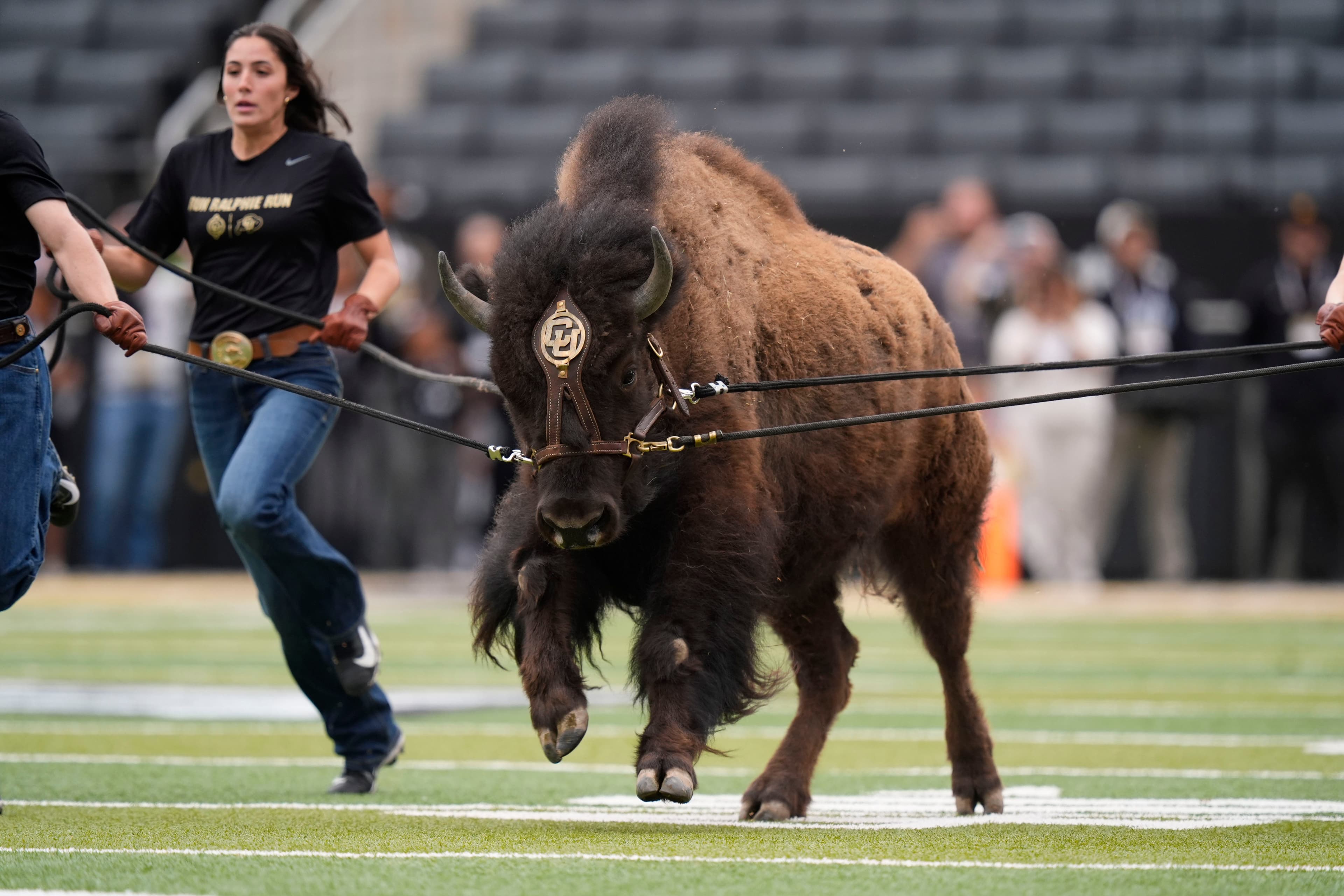 Four standouts from Colorado's spring football game