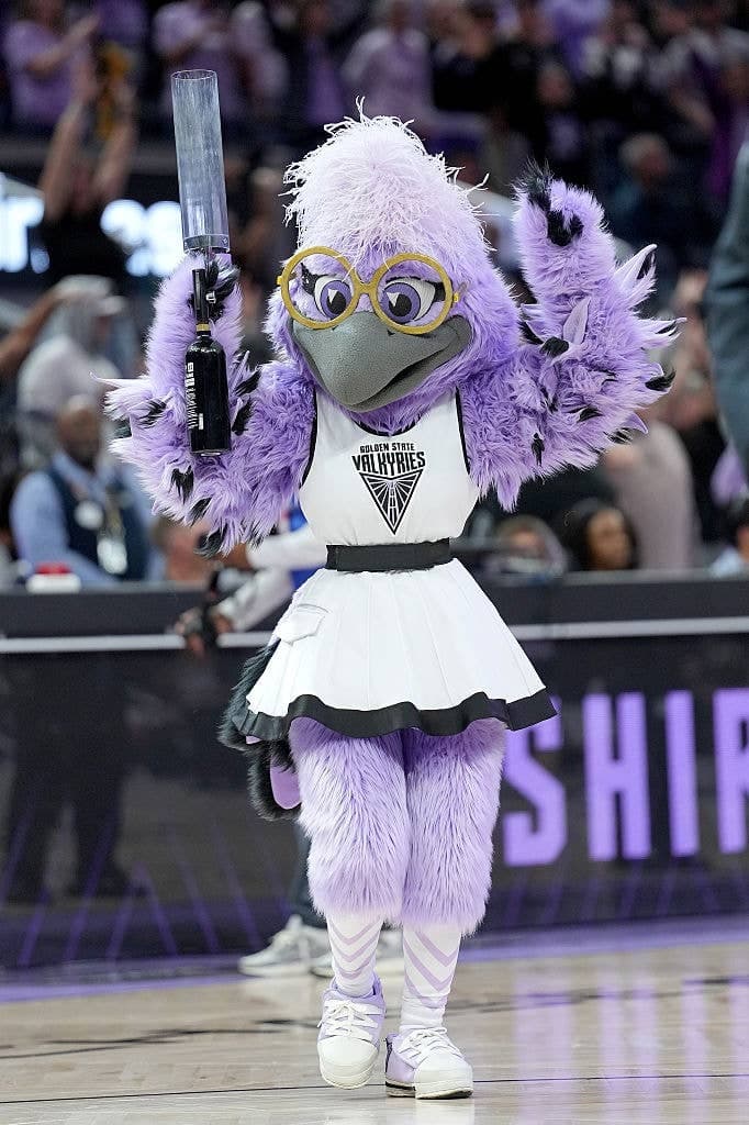 I Ranked The WNBA Mascots Purely Based On Vibes, And I Need Everyone To Hear Me Out