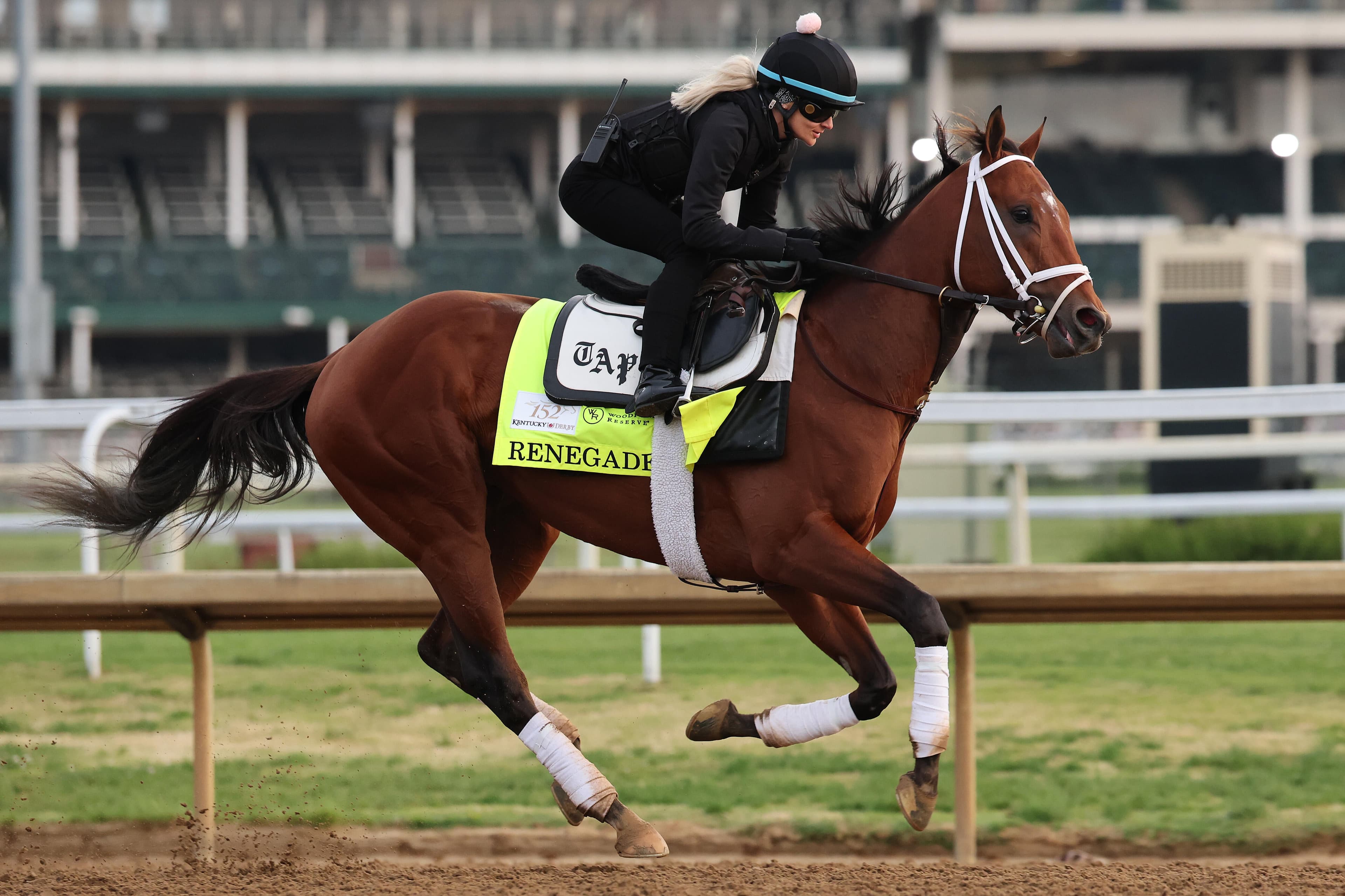 Meet the horses running in the Kentucky Derby