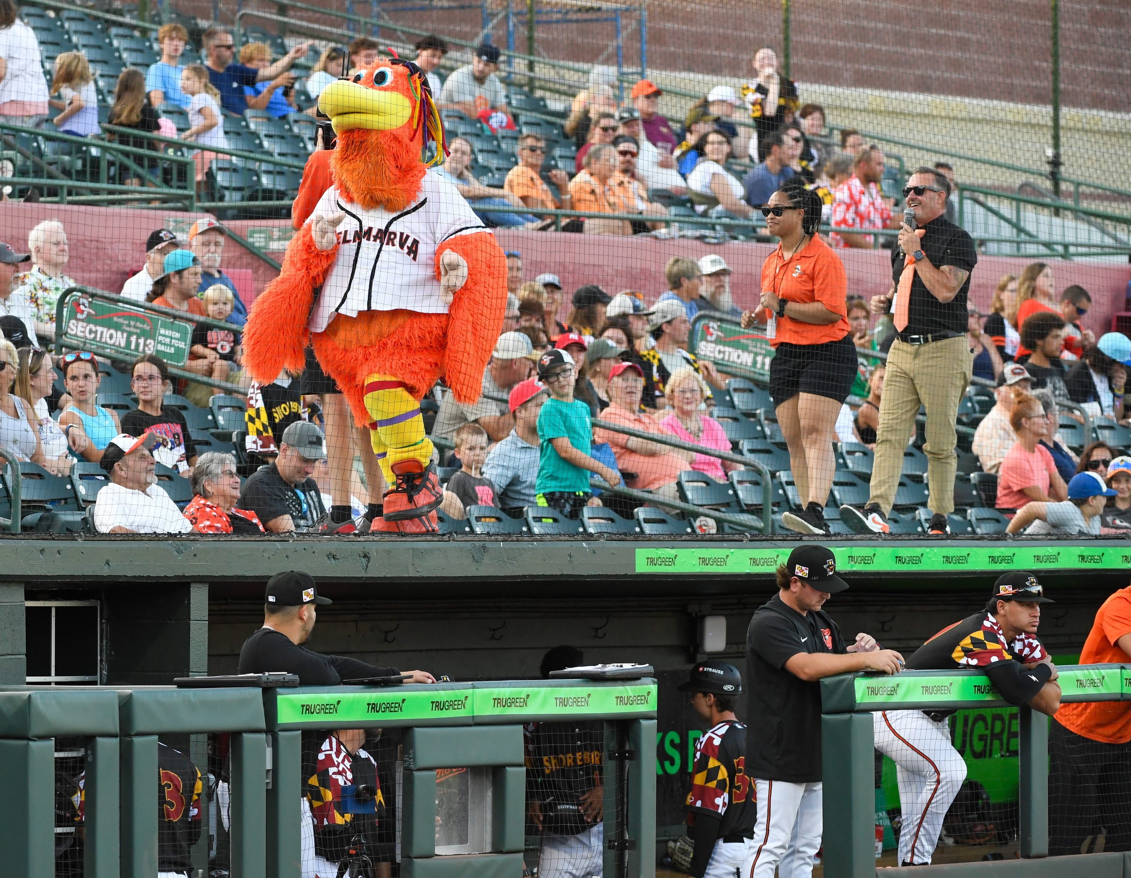 Delmarva Shorebirds announce 2026 promotional schedule