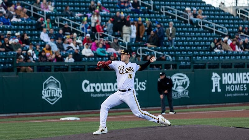 Series recap: Bees fall to Oklahoma City Comets in abbreviated Sooner State series