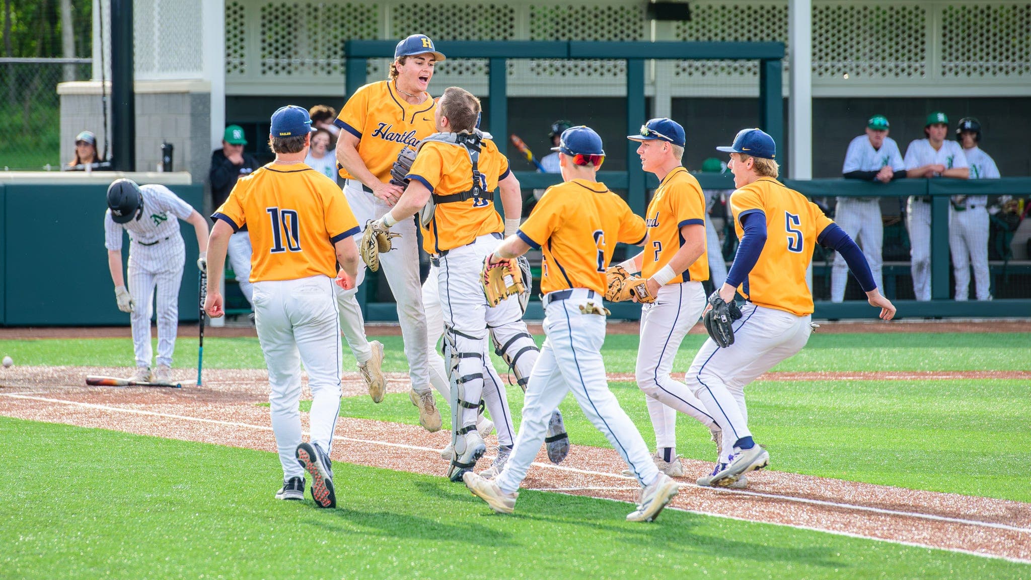 Hartland baseball outlasts Novi in KLAA championship pitching duel