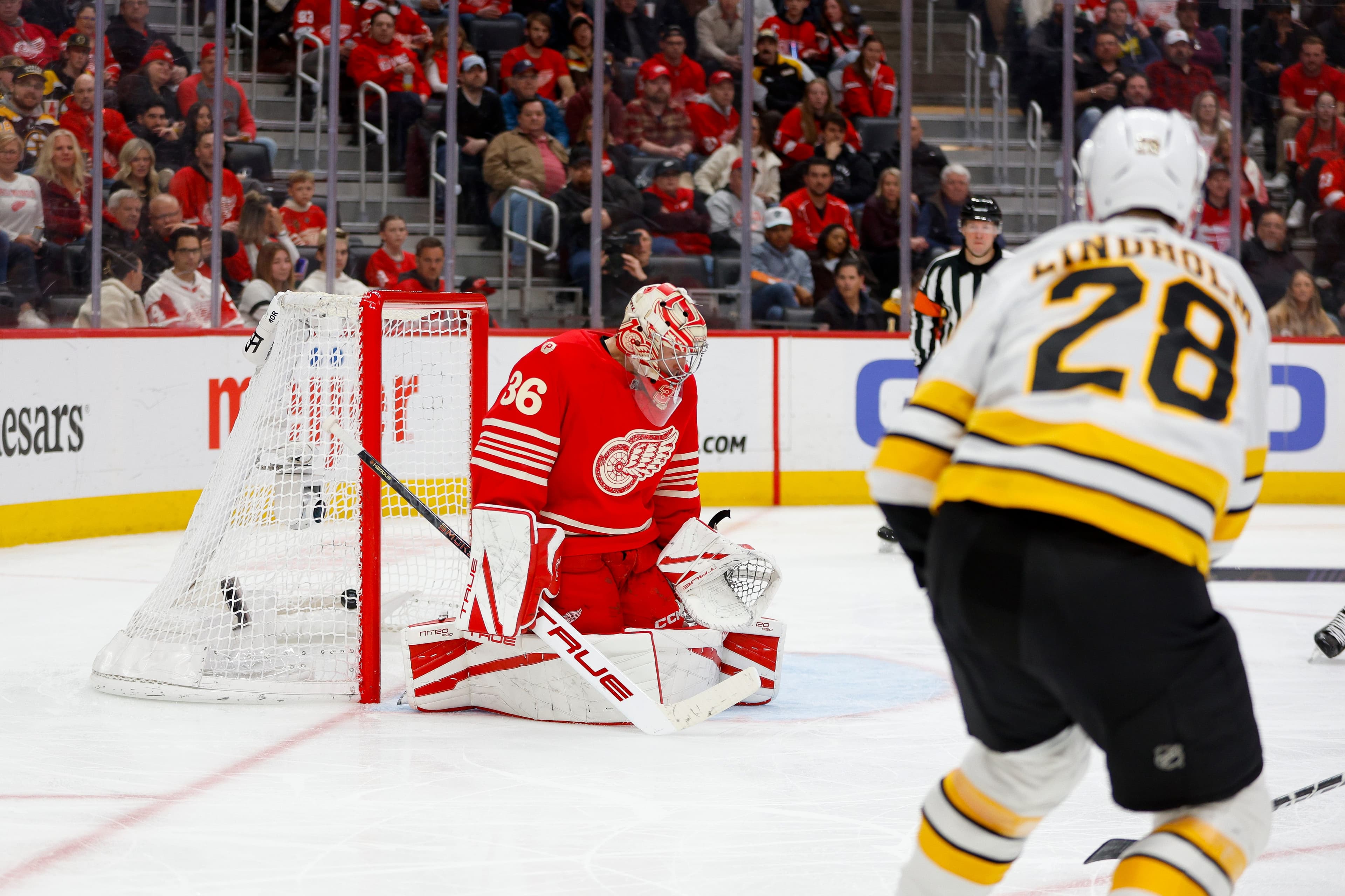 With 12 games left, Detroit Red Wings have one plan: 'Force our luck'