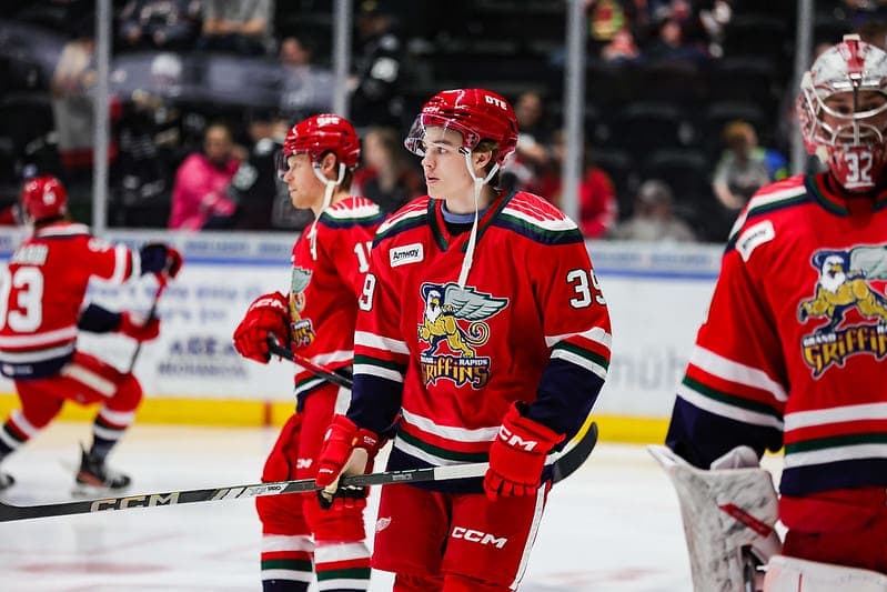 Swedes Will Have to Wait on Red Wings Farmhands