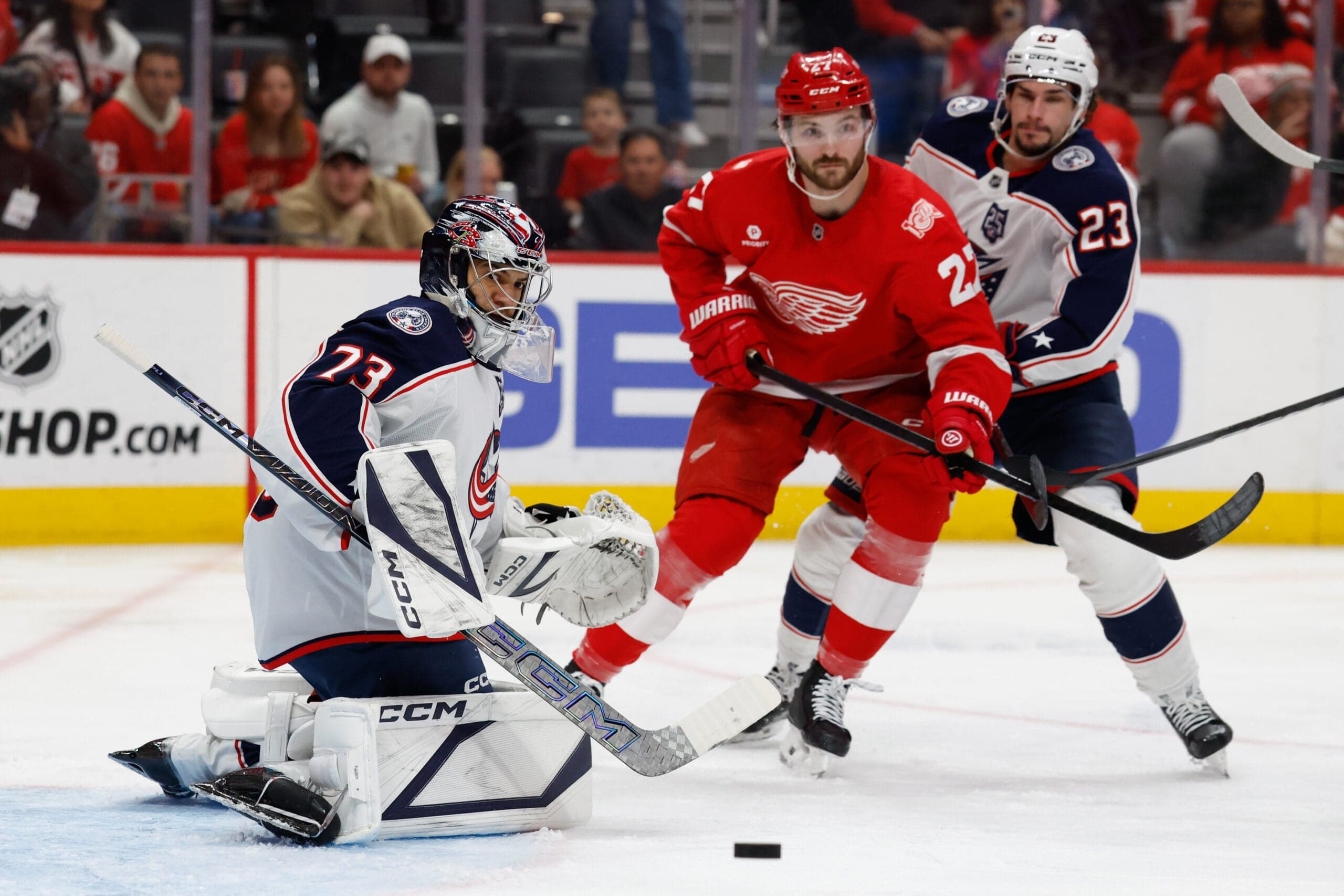 Red Wings Rasmussen Done For Season