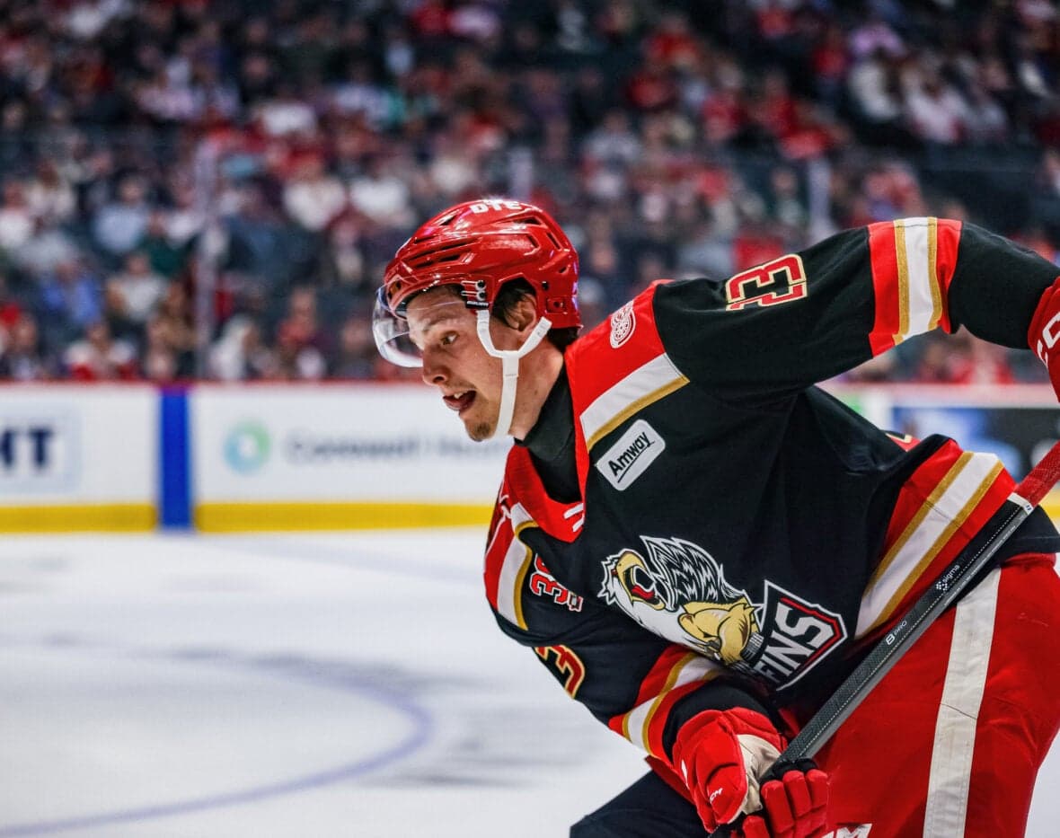 Red Wings Other Johansson Could Also be in Detroit Soon