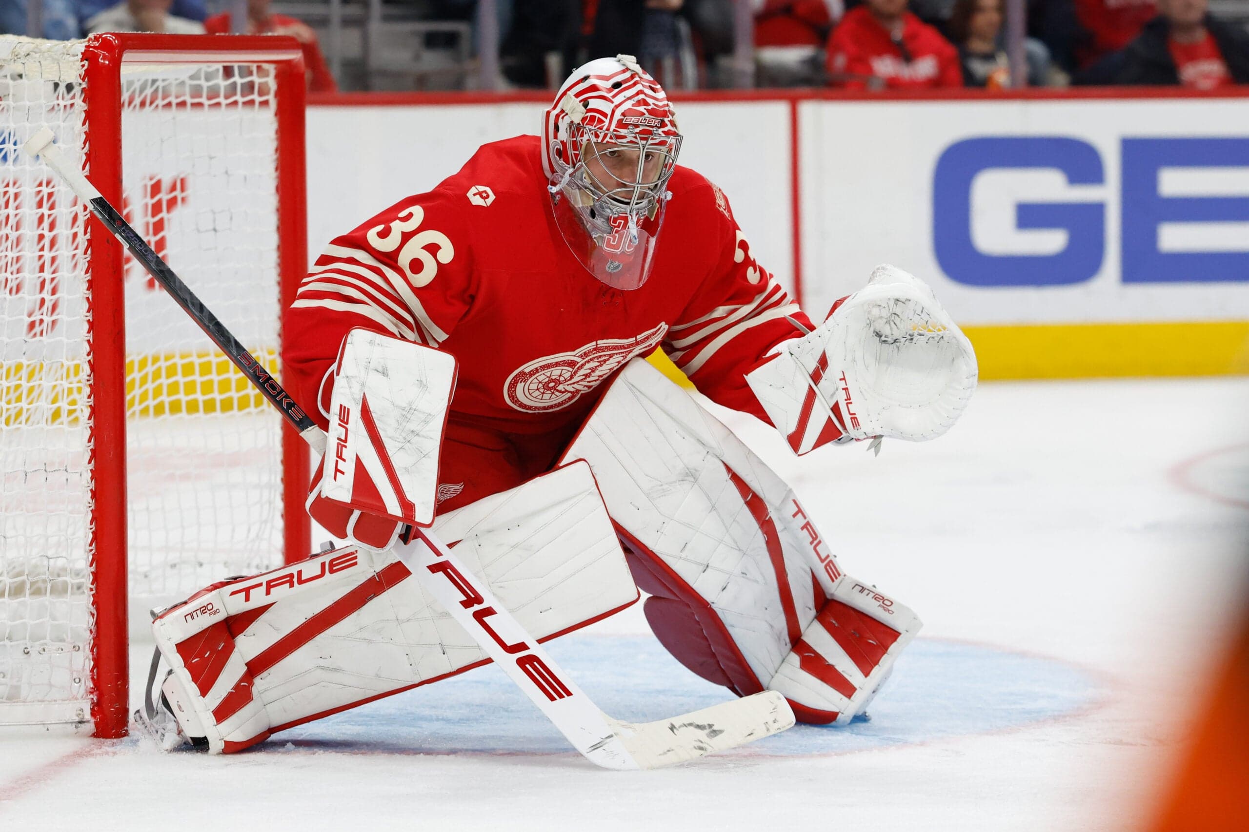 Gibson: Red Wings Have no One to Blame But Themselves