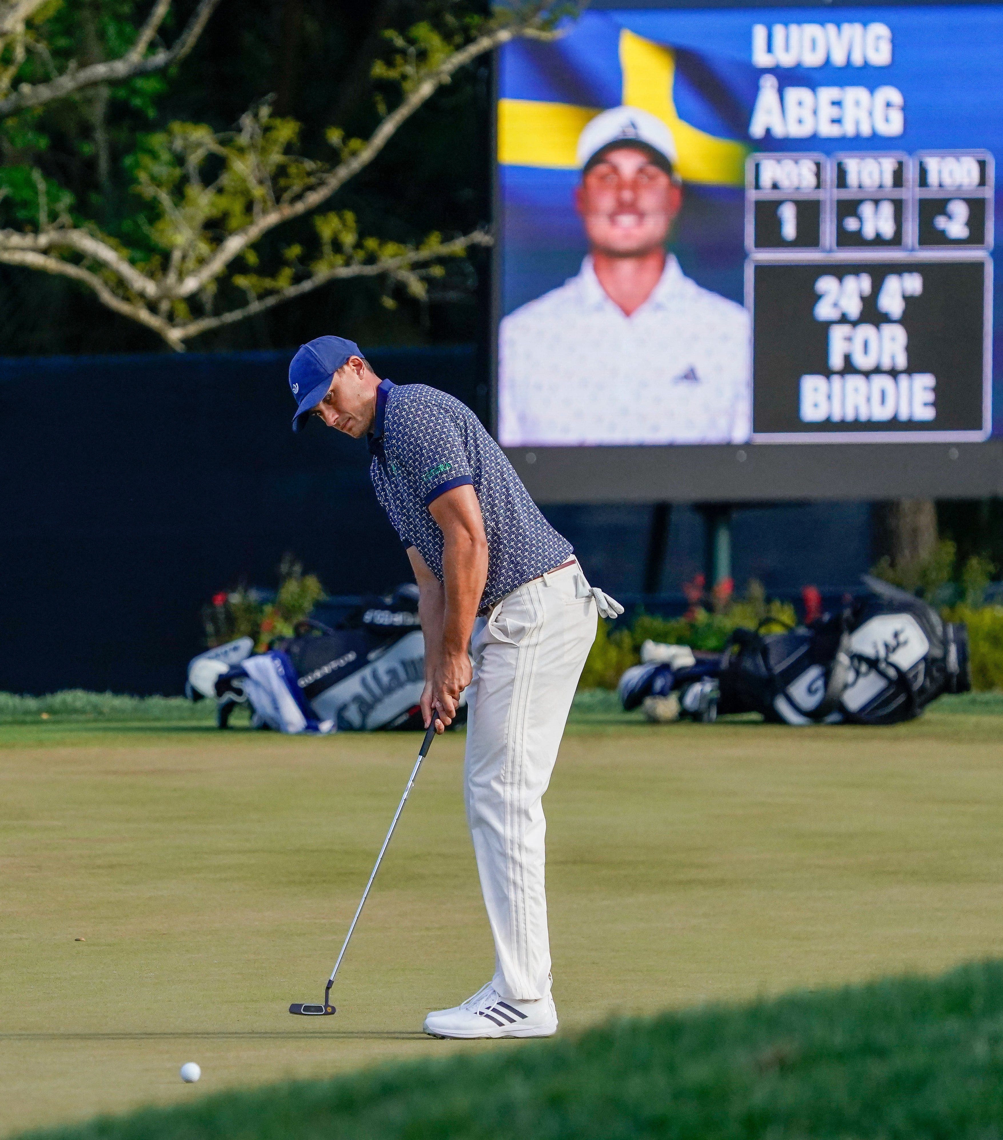 Ludvig Aberg's 3-Stroke Magic Highlights Tournament Triumph!