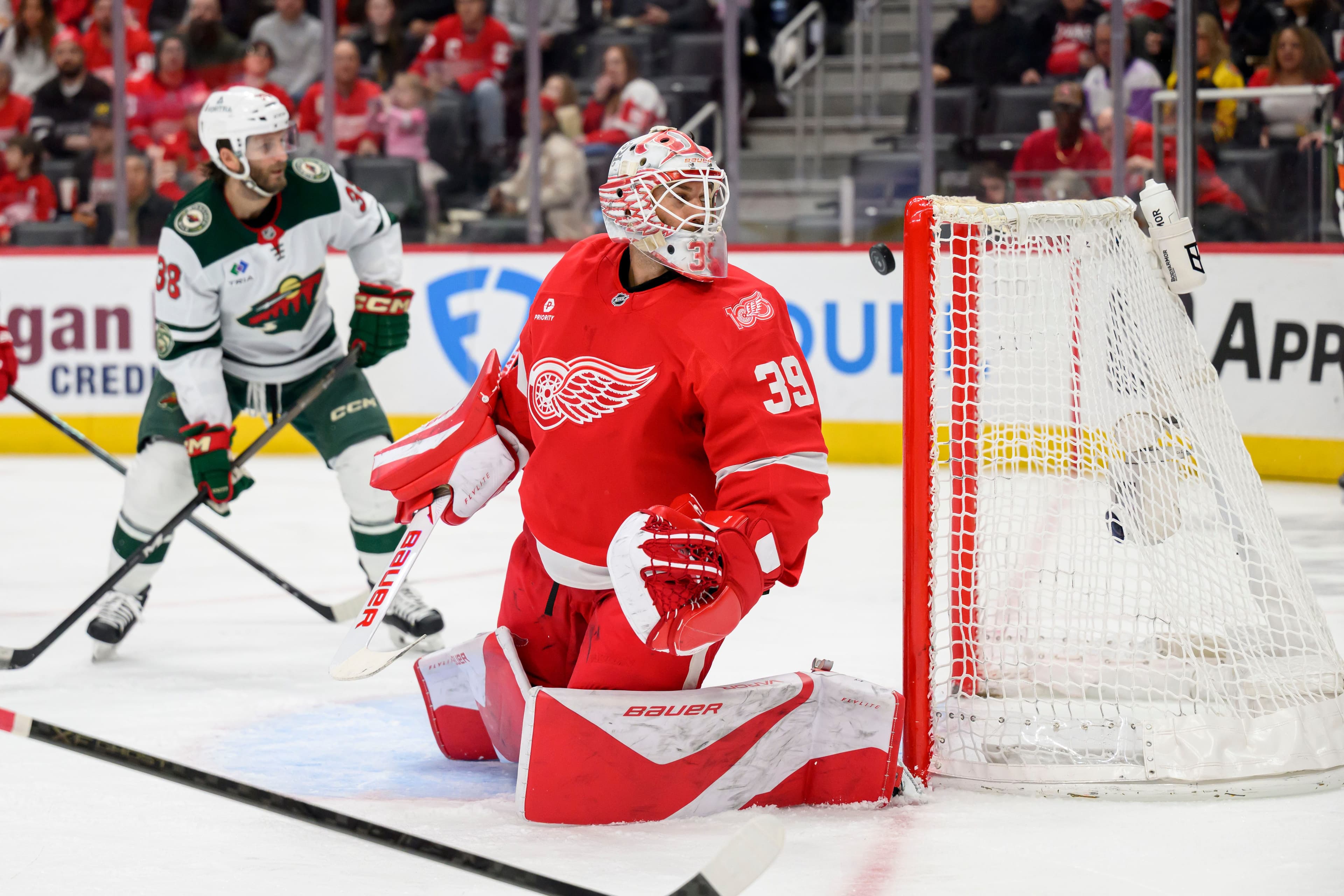 Red Wings stage furious rally but Wild win with late goal