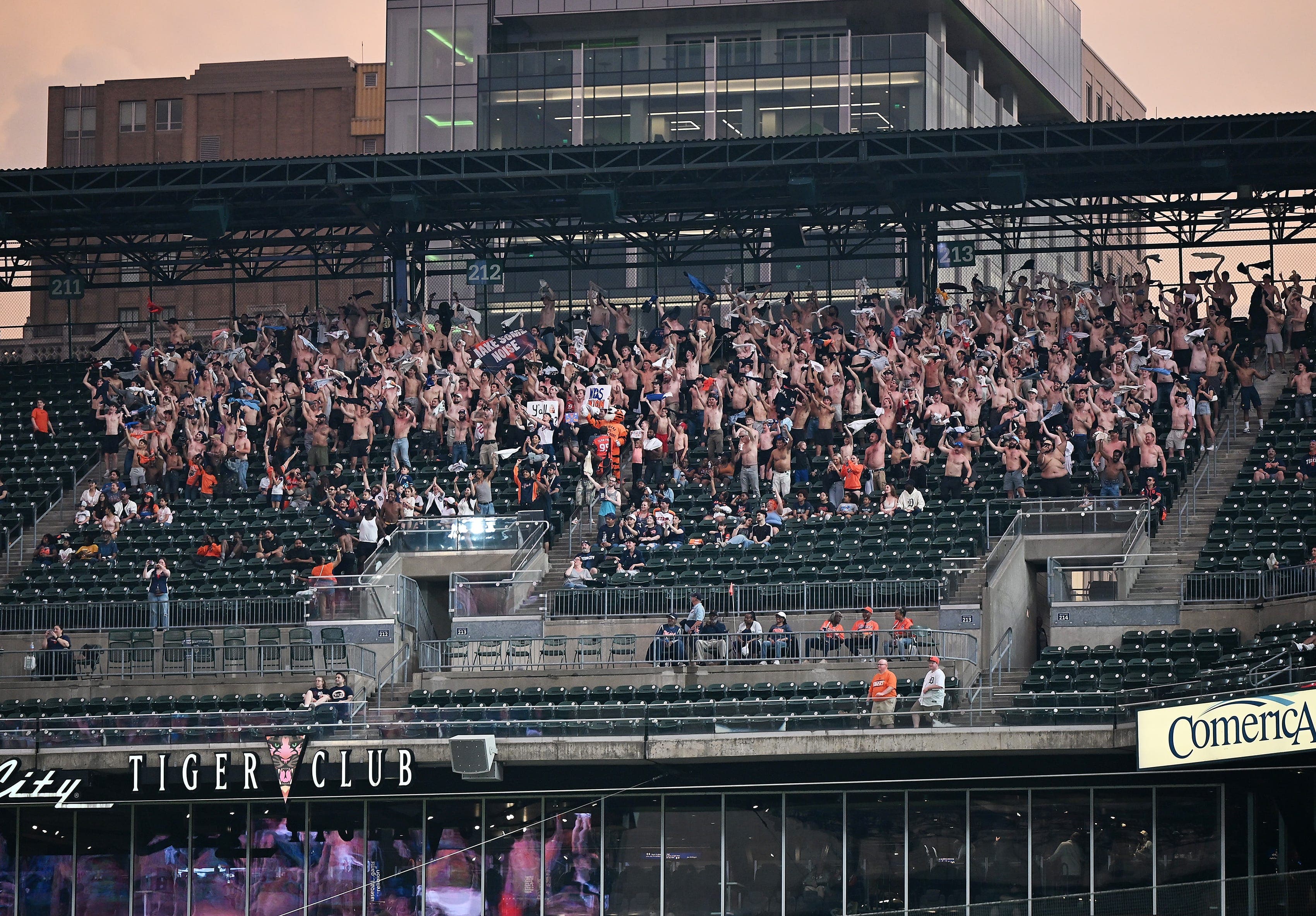 Tigers fans show some skin for 'Tarps Off.' How did this all start?