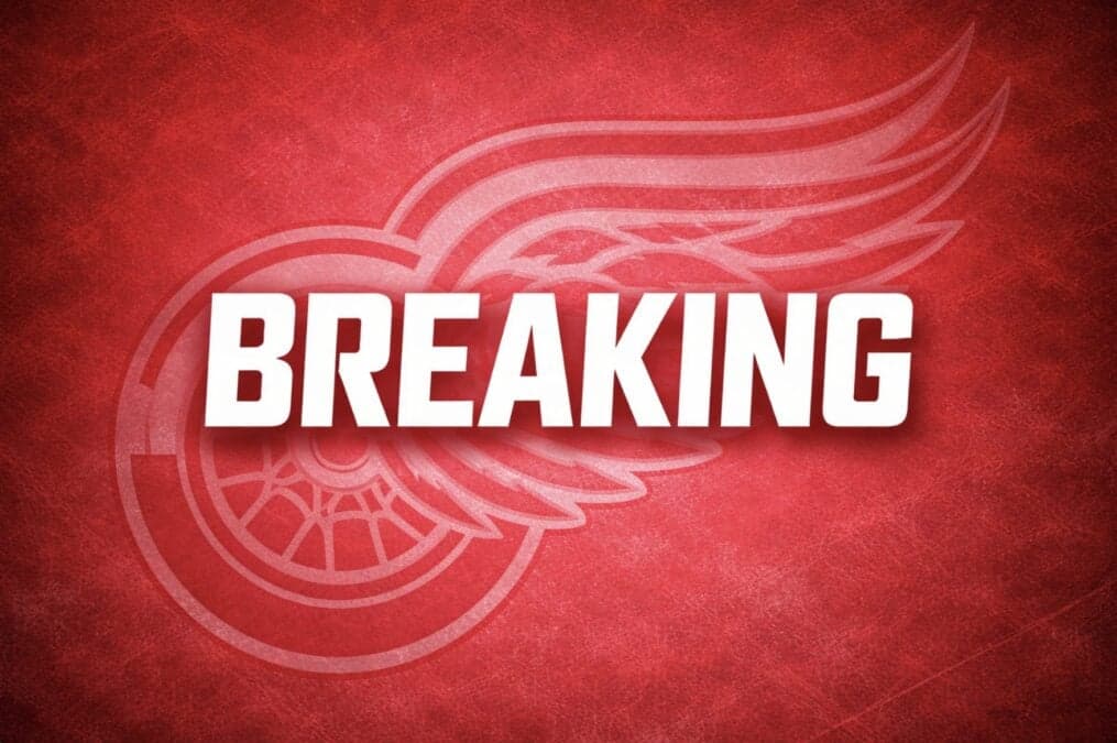 Detroit Red Wings Lock In Defenseman With New Deal