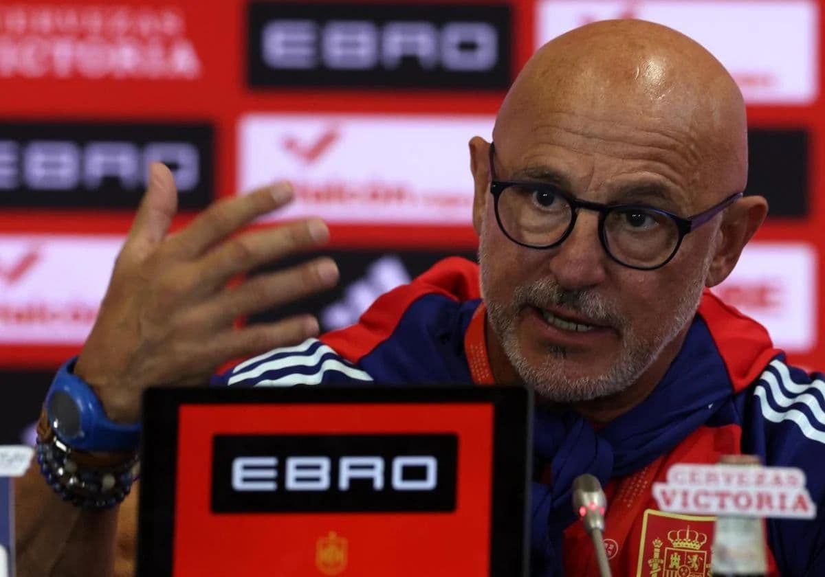 Spain manager Luis de la Fuente – ‘We have 20-22 players in mind for World Cup squad’