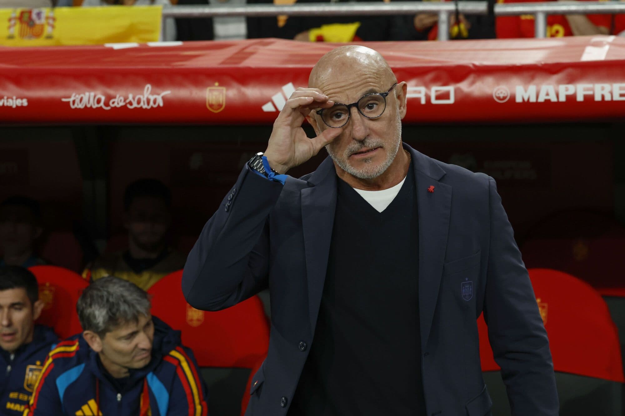Luis de la Fuente names final Spain squad before World Cup with Joan Garcia and without Dani Carvajal
