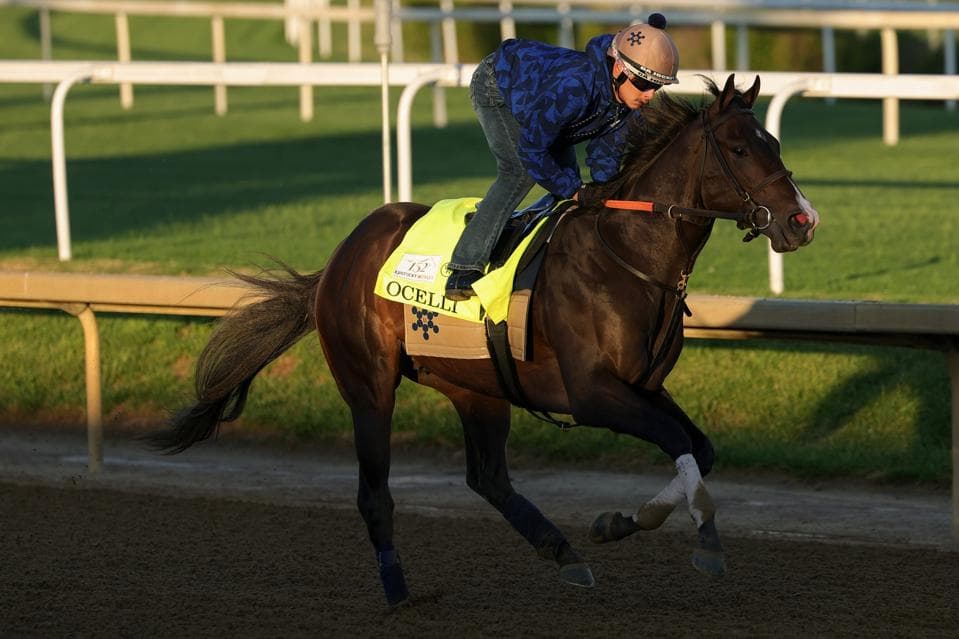 Second 2026 Kentucky Derby Scratch: Fulleffort Is Out, Ocelli Draws In