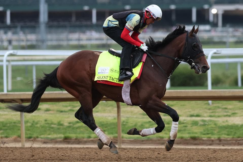 Kentucky Derby Update: Silent Tactic Scratched, Great White Draws In