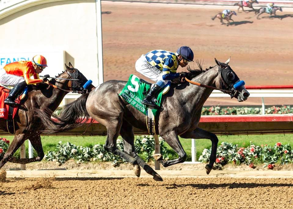 Rouge Puts on a Spectacular Show in 2026 Kentucky Oaks; Expect Stunning Performances!