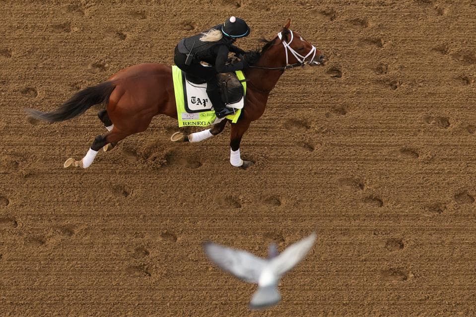 Kentucky Derby 2026: Race Day Bets; Renegade’s Four-Way Battle To Win