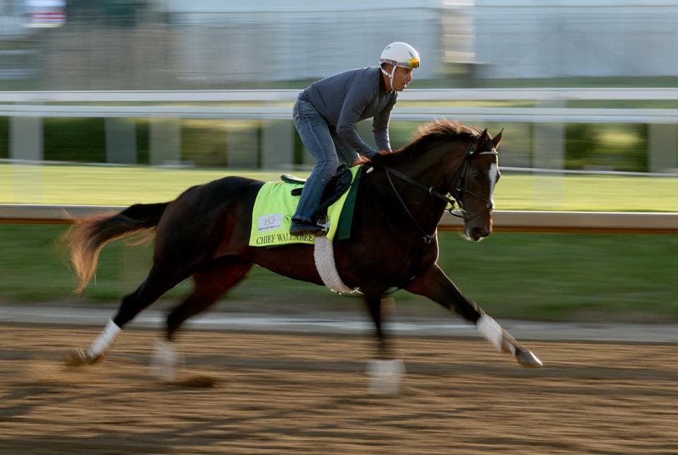 Kentucky Derby 2026 Who’s Who: Chief Wallabee
